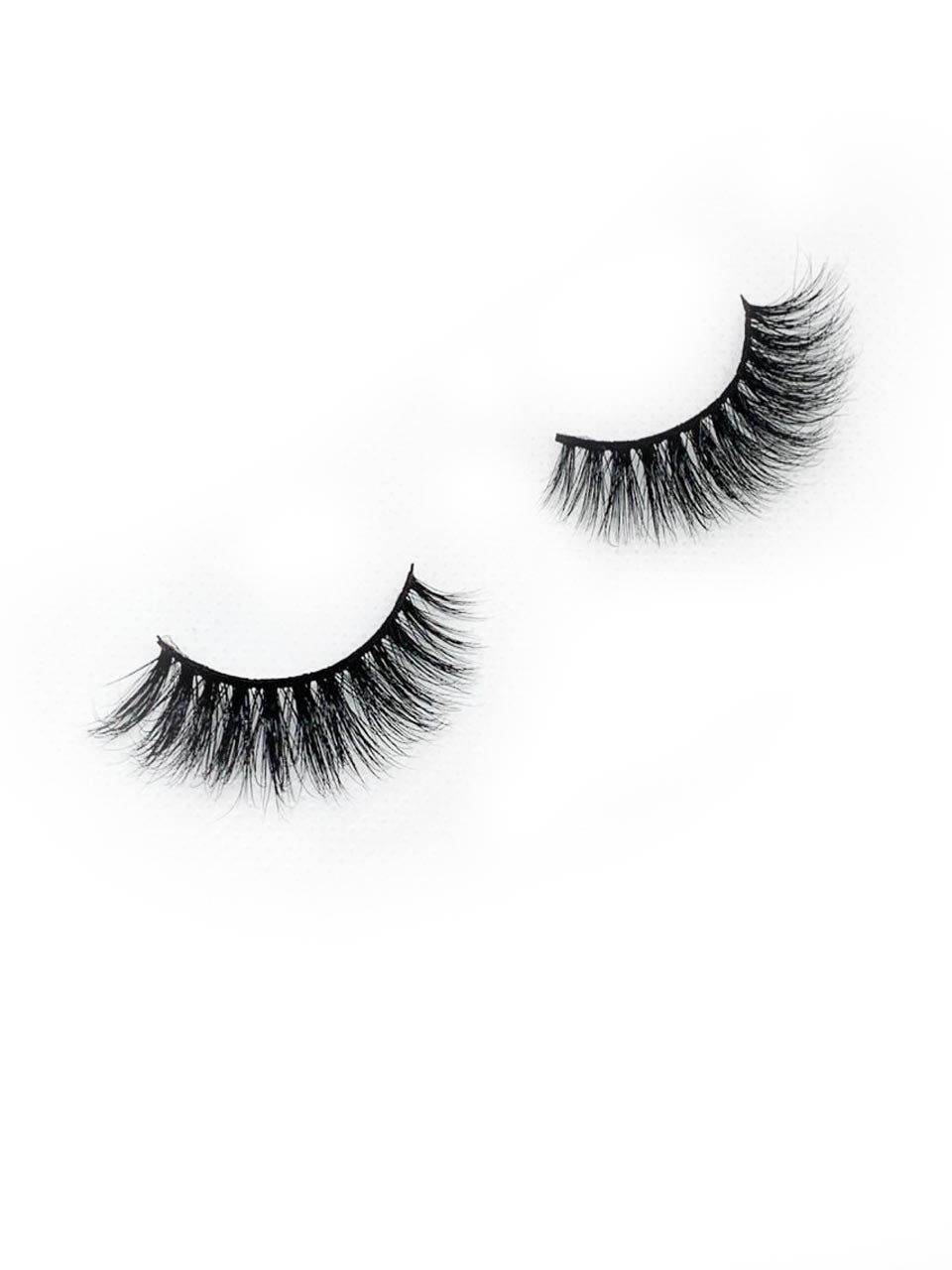 Glitter Special Edition Modelo 1